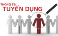 MISA tuyển dụng lập trình viên và nhân viên kiểm soát chất lượng